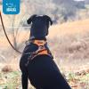 imageVoyager No Pull Dog Harness for Large Dogs Dual Leash Attachments Adjustable Soft but Strong Pet Harness with 3M Reflective Technology Lime Green Nylon M Chest 2025quotHarness Orange Nylon