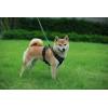 imageVoyager No Pull Dog Harness for Large Dogs Dual Leash Attachments Adjustable Soft but Strong Pet Harness with 3M Reflective Technology Lime Green Nylon M Chest 2025quotHarness Black Nylon