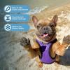 imageVoyager StepIn Plush Dog Harness  Soft Plush Step In Vest Harness for Small and Medium Dogs by Best Pet Supplies  Harness Beige Plush M Chest 16  18quotHarness Purple Faux Leather