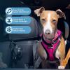 imageVoyager StepIn Plush Dog Harness  Soft Plush Step In Vest Harness for Small and Medium Dogs by Best Pet Supplies  Harness Beige Plush M Chest 16  18quot1Fuchsia Corduroy