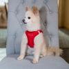 imageVoyager StepIn Plush Dog Harness  Soft Plush Step In Vest Harness for Small and Medium Dogs by Best Pet Supplies  Harness Beige Plush M Chest 16  18quotHarness Red Corduroy