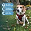 imageVoyager StepIn Plush Dog Harness  Soft Plush Step In Vest Harness for Small and Medium Dogs by Best Pet Supplies  Harness Beige Plush M Chest 16  18quotHarness Red Plush