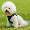 imageVoyager StepIn Plush Dog Harness  Soft Plush Step In Vest Harness for Small and Medium Dogs by Best Pet Supplies  Harness Beige Plush M Chest 16  18quotHarness Black Faux Leather