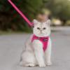 imageVoyager Stepin Air Cat Leash Harness Set  All Weather Mesh Step in Vest Harness for Small and Large Cats by Best Pet Supplies  Pink XXS Chest 12135quotFuchsia