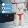 imageVoyager Stepin Air Cat Leash Harness Set  All Weather Mesh Step in Vest Harness for Small and Large Cats by Best Pet Supplies  Pink XXS Chest 12135quotOrange