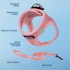 imageVoyager Stepin Air Cat Leash Harness Set  All Weather Mesh Step in Vest Harness for Small and Large Cats by Best Pet Supplies  Pink XXS Chest 12135quotPink