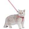 imageVoyager Stepin Air Cat Leash Harness Set  All Weather Mesh Step in Vest Harness for Small and Large Cats by Best Pet Supplies  Pink XXS Chest 12135quotPink