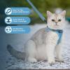 imageVoyager Stepin Air Cat Leash Harness Set  All Weather Mesh Step in Vest Harness for Small and Large Cats by Best Pet Supplies  Pink XXS Chest 12135quotBaby Blue