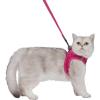 imageVoyager Stepin Air Cat Leash Harness Set  All Weather Mesh Step in Vest Harness for Small and Large Cats by Best Pet Supplies  Pink XXS Chest 12135quotFuchsia