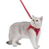 imageVoyager Stepin Air Cat Leash Harness Set  All Weather Mesh Step in Vest Harness for Small and Large Cats by Best Pet Supplies  Pink XXS Chest 12135quotRed