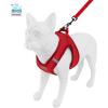 imageVoyager Stepin Plush Dog Harness  Soft Plush Step in Vest Harness and Reflective Dog 5 ft Leash Combo with Neoprene Handle for Small and Medium Dogs by Best Pet Supplies Set Black Plush SHarness Leash Set Red Corduroy