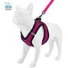 imageVoyager Stepin Plush Dog Harness  Soft Plush Step in Vest Harness and Reflective Dog 5 ft Leash Combo with Neoprene Handle for Small and Medium Dogs by Best Pet Supplies Set Black Plush SHarness Leash Set Red Rose Plush