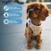 imageVoyager Stepin Plush Dog Harness  Soft Plush Step in Vest Harness and Reflective Dog 5 ft Leash Combo with Neoprene Handle for Small and Medium Dogs by Best Pet Supplies Set Black Plush SHarness Leash Set Latte Suede