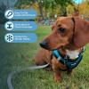imageVoyager Stepin Plush Dog Harness  Soft Plush Step in Vest Harness and Reflective Dog 5 ft Leash Combo with Neoprene Handle for Small and Medium Dogs by Best Pet Supplies Set Black Plush SHarness Leash Set Turquoise Plush