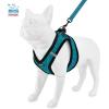imageVoyager Stepin Plush Dog Harness  Soft Plush Step in Vest Harness and Reflective Dog 5 ft Leash Combo with Neoprene Handle for Small and Medium Dogs by Best Pet Supplies Set Black Plush SHarness Leash Set Turquoise Plush