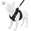 imageVoyager Stepin Plush Dog Harness  Soft Plush Step in Vest Harness and Reflective Dog 5 ft Leash Combo with Neoprene Handle for Small and Medium Dogs by Best Pet Supplies Set Black Plush SHarness Leash Set Black Plush