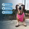 imageVoyager Stepin Plush Dog Harness  Soft Plush Step in Vest Harness and Reflective Dog 5 ft Leash Combo with Neoprene Handle for Small and Medium Dogs by Best Pet Supplies Set Black Plush SHarness Leash Set Fuchsia Corduroy