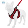 imageVoyager Stepin Plush Dog Harness  Soft Plush Step in Vest Harness and Reflective Dog 5 ft Leash Combo with Neoprene Handle for Small and Medium Dogs by Best Pet Supplies Set Black Plush SHarness Leash Set Red Plush