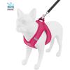 imageVoyager Stepin Plush Dog Harness  Soft Plush Step in Vest Harness and Reflective Dog 5 ft Leash Combo with Neoprene Handle for Small and Medium Dogs by Best Pet Supplies Set Black Plush SHarness Leash Set Fuchsia Corduroy