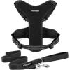 Harness Leash Set (Black Mesh)