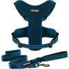 Harness Leash Set (Blue Mesh)