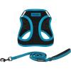 imageBest Pet Supplies  All Weather Mesh Reflective No Pull Harness for Small Medium Dogs Cats  Secure with Hook ampamp Loop Fastener Buckle Double DRings  Blue Trim MLeash Harness Set Blue
