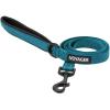 Leash (Turquoise)