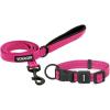 Leash Collar Set (Fuchsia)