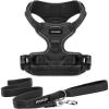 imageVoyager Dog Harness Dual Leash Attachment NoPull Control Adjustable Soft but Strong Pet Harness for Medium and Large Dogs with 3M Reflective Technology  Harness Leash Set Fuchsia MHarness Leash Set Black Nylon