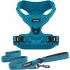 imageVoyager Dog Harness Dual Leash Attachment NoPull Control Adjustable Soft but Strong Pet Harness for Medium and Large Dogs with 3M Reflective Technology  Harness Leash Set Fuchsia MHarness Leash Set Turquoise Nylon