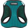 Harness (Turquoise 2-Tone)