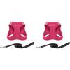 Harness Leash Set (Fuchsia Corduroy)