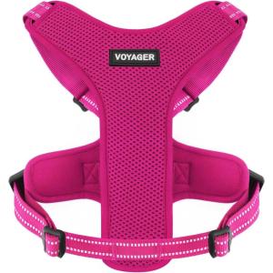 imageAir Frontier Mesh Dog Harness with and Reflective Dog Leash Set Reflective Stitching and Lightweight Breathable NoPull Design Adjustable Neck and Chest Straps for Small to Large Breeds  BUW MHarness Fuchsia Mesh