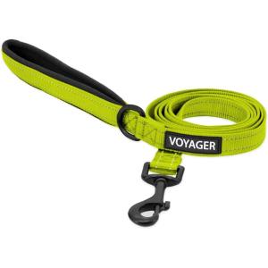 imageBest Pet Supplies Reflective Dog Collar with Adjustable Length HeavyDuty Buckle and Strong Leash DRing Training Walking Jogging Accessory for Small Medium and Large Breeds  Baby Blue MLeash Lime Green