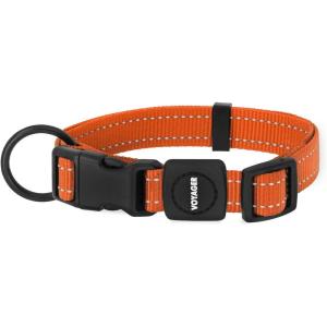 imageBest Pet Supplies Reflective Dog Collar with Adjustable Length HeavyDuty Buckle and Strong Leash DRing Training Walking Jogging Accessory for Small Medium and Large Breeds  Baby Blue MCollar Orange