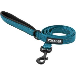 imageBest Pet Supplies Reflective Dog Collar with Adjustable Length HeavyDuty Buckle and Strong Leash DRing Training Walking Jogging Accessory for Small Medium and Large Breeds  Baby Blue MLeash Turquoise