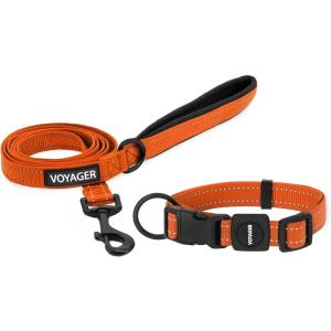 imageBest Pet Supplies Reflective Dog Collar with Adjustable Length HeavyDuty Buckle and Strong Leash DRing Training Walking Jogging Accessory for Small Medium and Large Breeds  Baby Blue MLeash Collar Set Orange