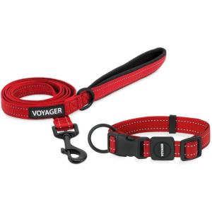 imageBest Pet Supplies Reflective Dog Collar with Adjustable Length HeavyDuty Buckle and Strong Leash DRing Training Walking Jogging Accessory for Small Medium and Large Breeds  Baby Blue MLeash Collar Set Red