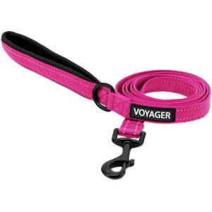 imageBest Pet Supplies Reflective Dog Collar with Adjustable Length HeavyDuty Buckle and Strong Leash DRing Training Walking Jogging Accessory for Small Medium and Large Breeds  Baby Blue MLeash Fuchsia