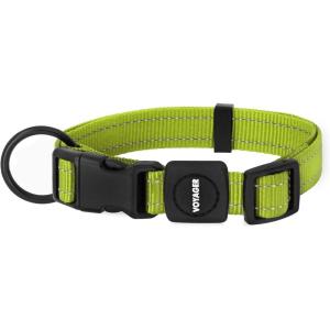 imageBest Pet Supplies Reflective Dog Collar with Adjustable Length HeavyDuty Buckle and Strong Leash DRing Training Walking Jogging Accessory for Small Medium and Large Breeds  Baby Blue MCollar Lime Green