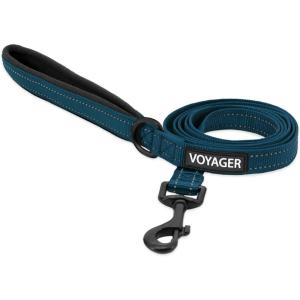 imageBest Pet Supplies Reflective Dog Collar with Adjustable Length HeavyDuty Buckle and Strong Leash DRing Training Walking Jogging Accessory for Small Medium and Large Breeds  Baby Blue MBlue