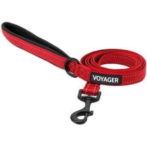 imageBest Pet Supplies Reflective Dog Collar with Adjustable Length HeavyDuty Buckle and Strong Leash DRing Training Walking Jogging Accessory for Small Medium and Large Breeds  Baby Blue MLeash Red