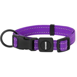 imageBest Pet Supplies Reflective Dog Collar with Adjustable Length HeavyDuty Buckle and Strong Leash DRing Training Walking Jogging Accessory for Small Medium and Large Breeds  Baby Blue MCollar Purple