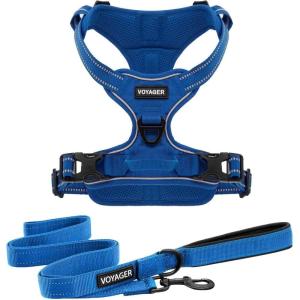 imageVoyager Dog Harness Dual Leash Attachment NoPull Control Adjustable Soft but Strong Pet Harness for Medium and Large Dogs with 3M Reflective Technology  Harness Leash Set Fuchsia MHarness Leash Set Royal Nylon