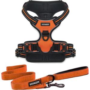 imageVoyager Dog Harness Dual Leash Attachment NoPull Control Adjustable Soft but Strong Pet Harness for Medium and Large Dogs with 3M Reflective Technology  Harness Leash Set Fuchsia MHarness Leash Set Orange Nylon