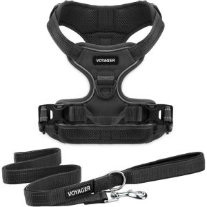 imageVoyager Dog Harness Dual Leash Attachment NoPull Control Adjustable Soft but Strong Pet Harness for Medium and Large Dogs with 3M Reflective Technology  Harness Leash Set Fuchsia MHarness Leash Set Black Nylon
