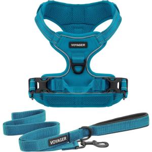 imageVoyager Dog Harness Dual Leash Attachment NoPull Control Adjustable Soft but Strong Pet Harness for Medium and Large Dogs with 3M Reflective Technology  Harness Leash Set Fuchsia MHarness Leash Set Turquoise Nylon