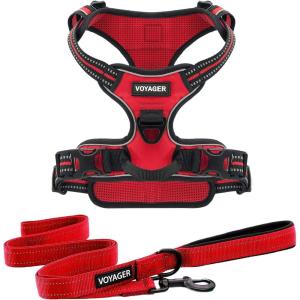 imageVoyager Dog Harness Dual Leash Attachment NoPull Control Adjustable Soft but Strong Pet Harness for Medium and Large Dogs with 3M Reflective Technology  Harness Leash Set Fuchsia MHarness Leash Set Red Nylon