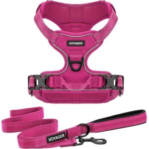 imageVoyager Dog Harness Dual Leash Attachment NoPull Control Adjustable Soft but Strong Pet Harness for Medium and Large Dogs with 3M Reflective Technology  Harness Leash Set Fuchsia MHarness Leash Set Fuchsia Nylon