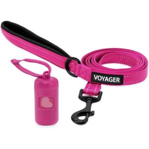 imageVoyager Reflective Dog Leash with Neoprene Handle 5 FT and Reusable Plastic Dispenser Poop Bag Holder Set for Walking and Outdoor Use Soft and Durable with ClipOn  Purple Purple DispenserLeash Dispenser Set Fuchsia